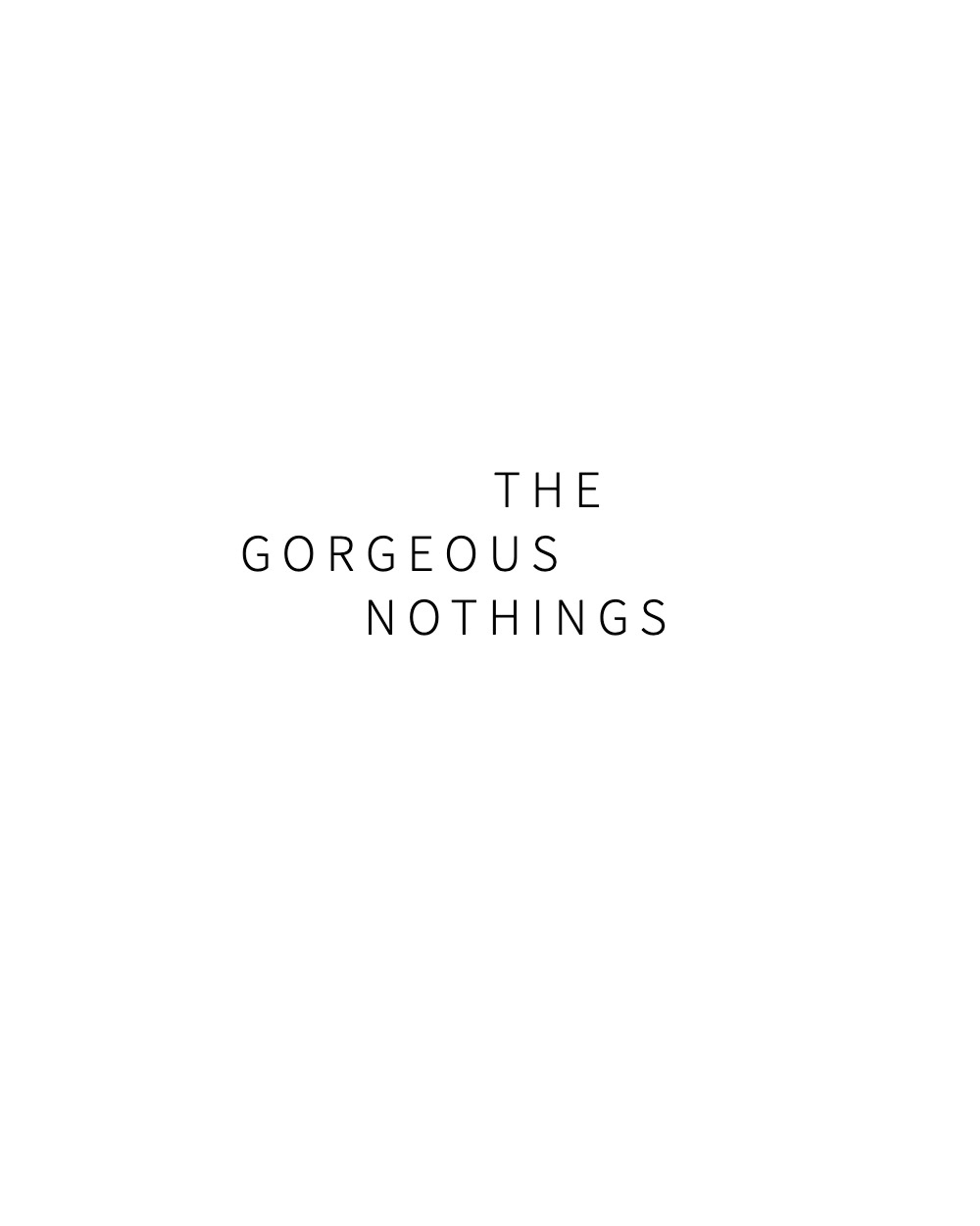 The Gorgeous Nothings Curated by Susan Morris