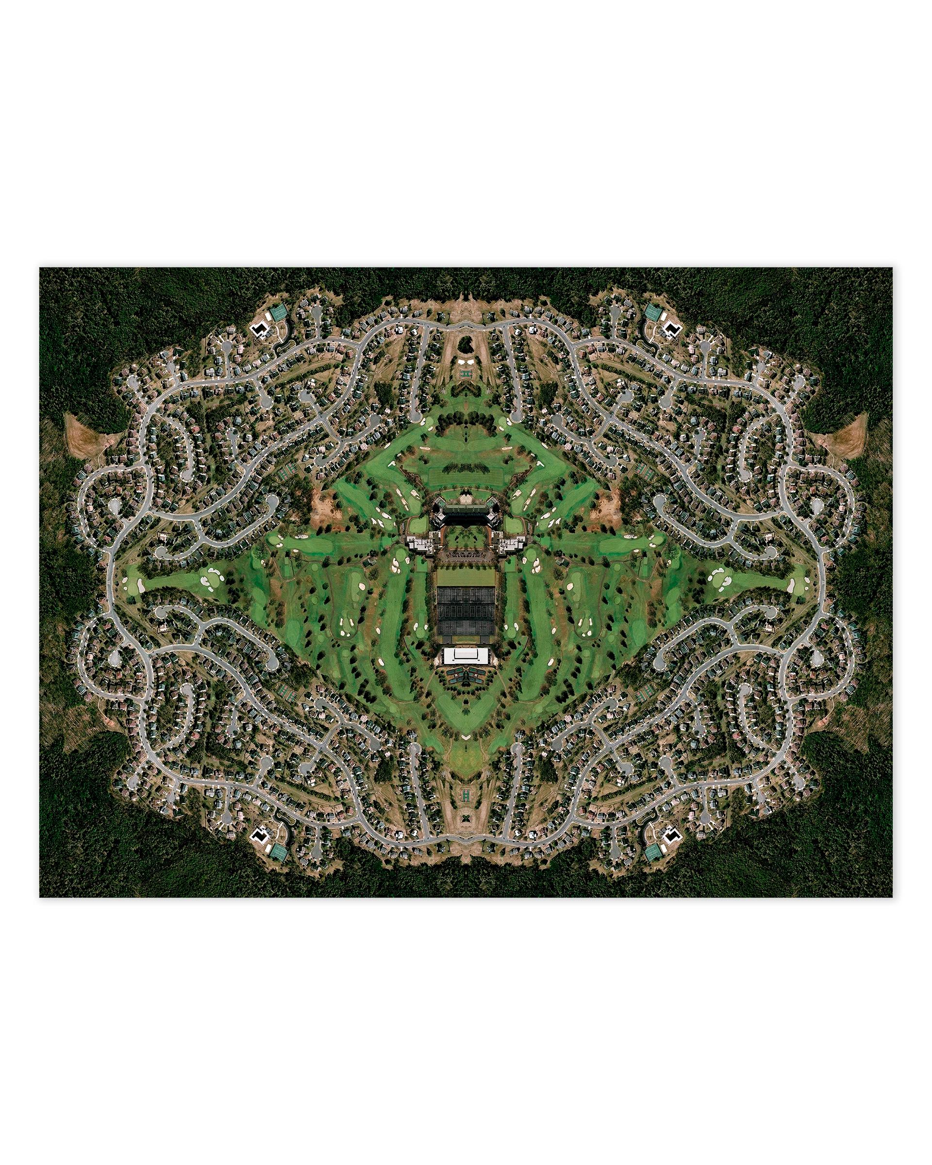 Spider Woods
