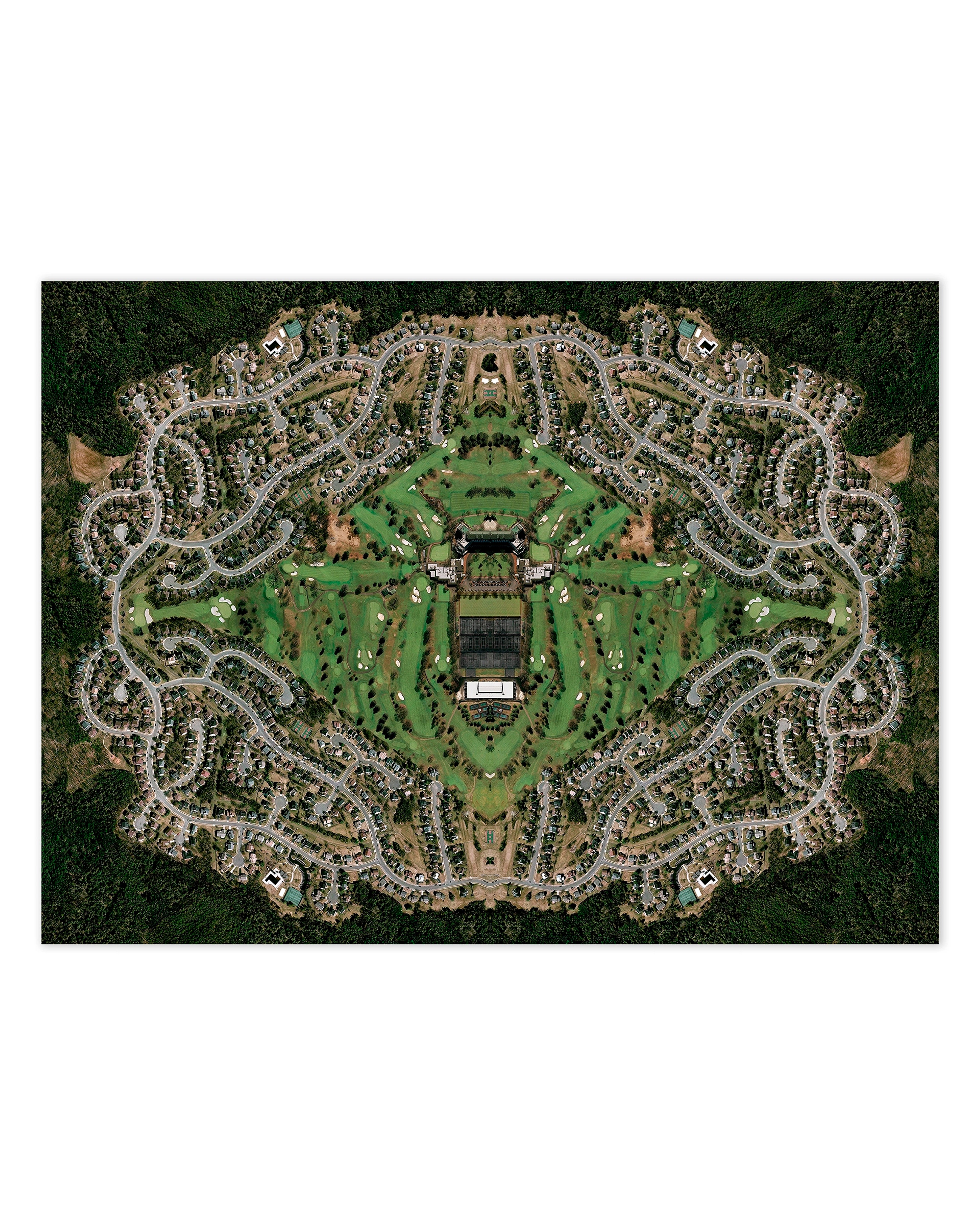 Spider Woods