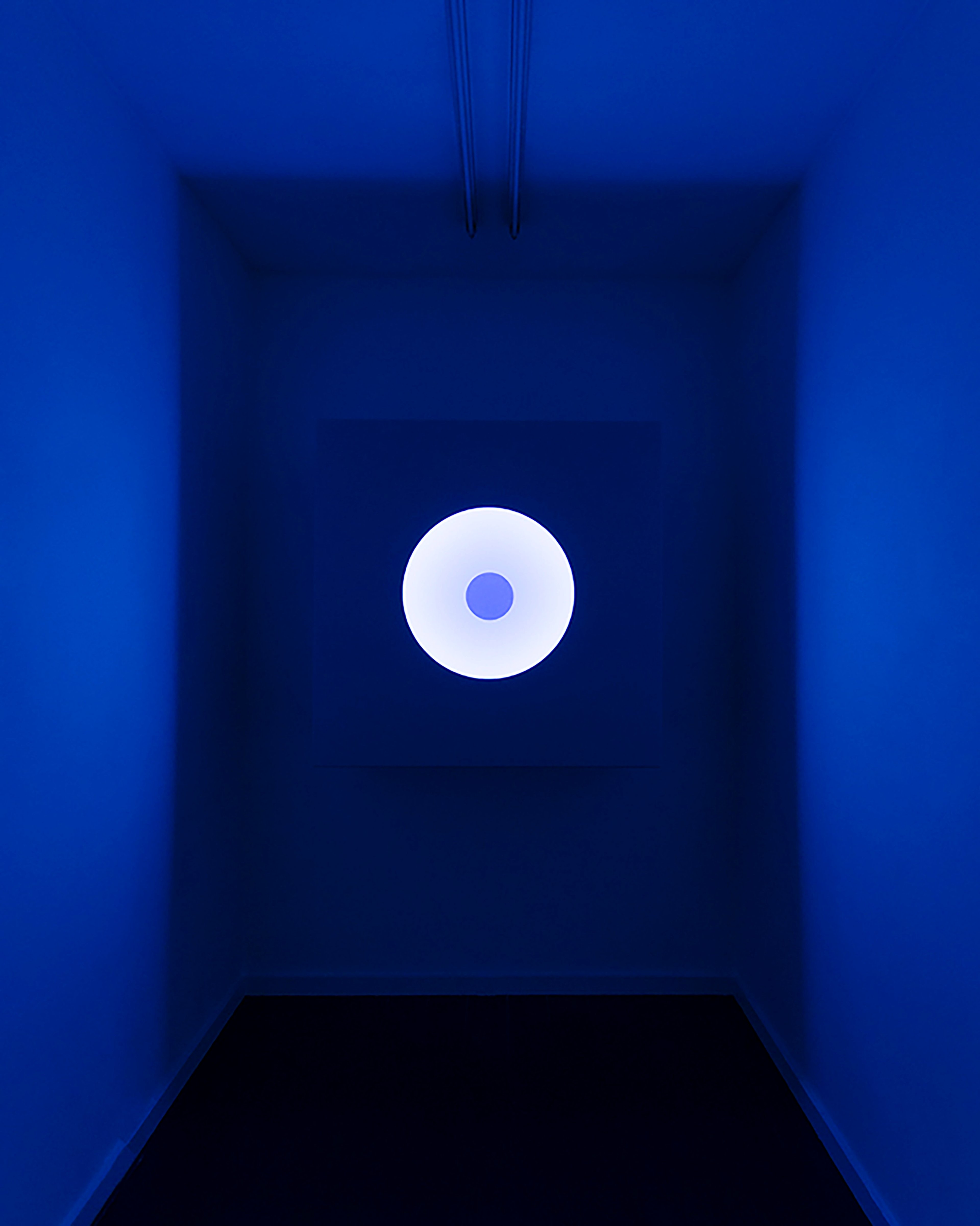 White circular disc with blue centre suspended in a deep blue gallery alcove with suspended wires above