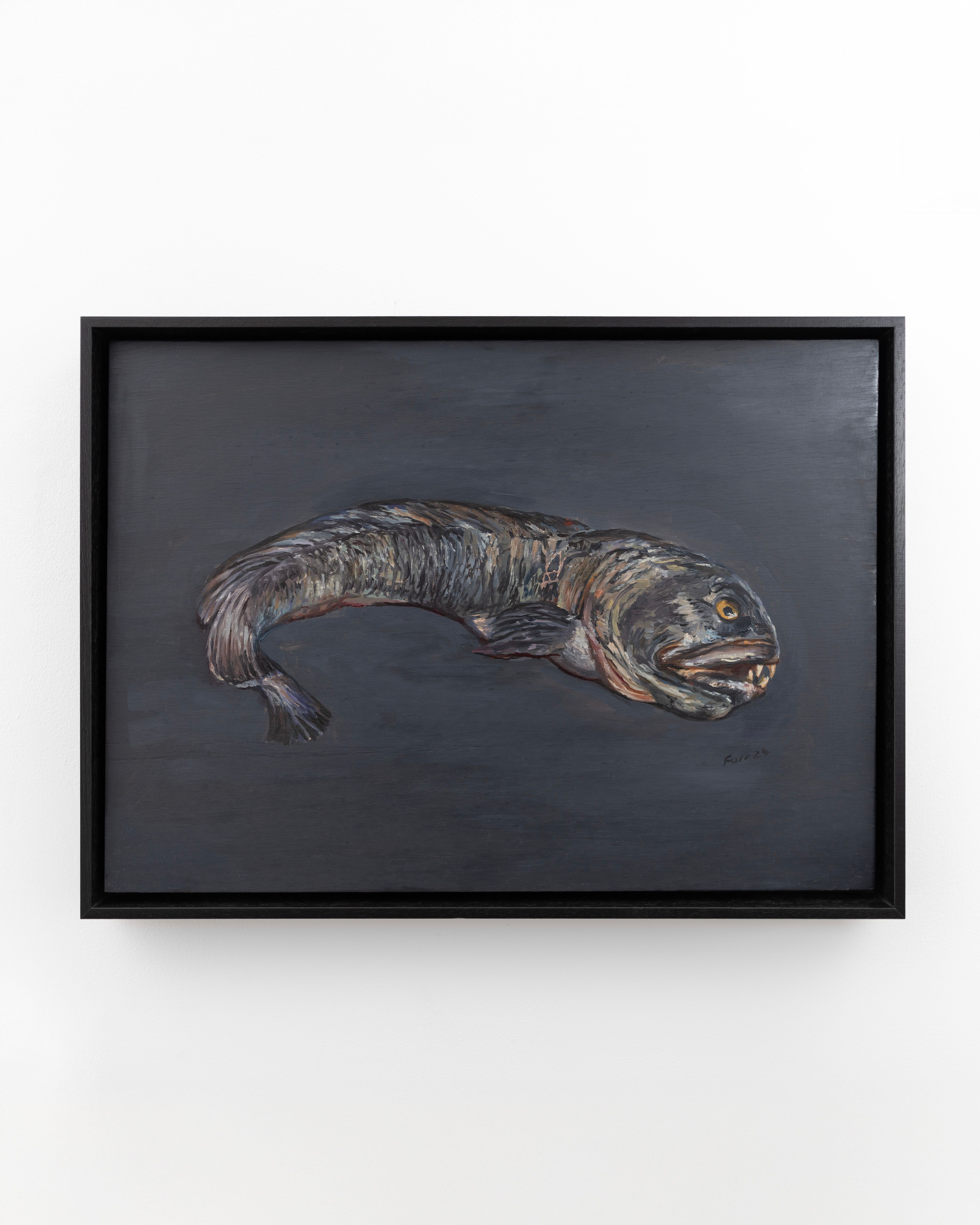Atlantic Wolffish