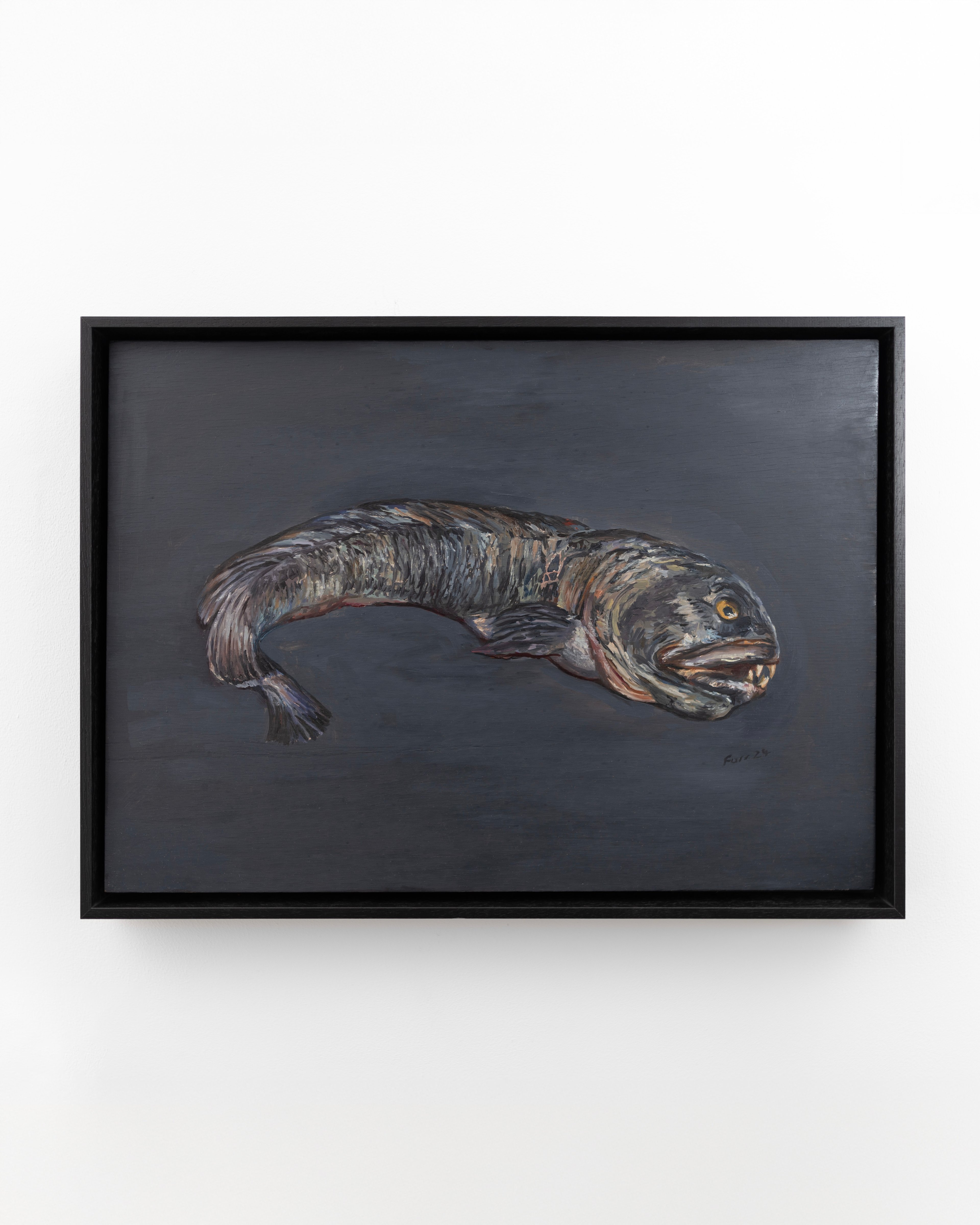 Atlantic Wolffish