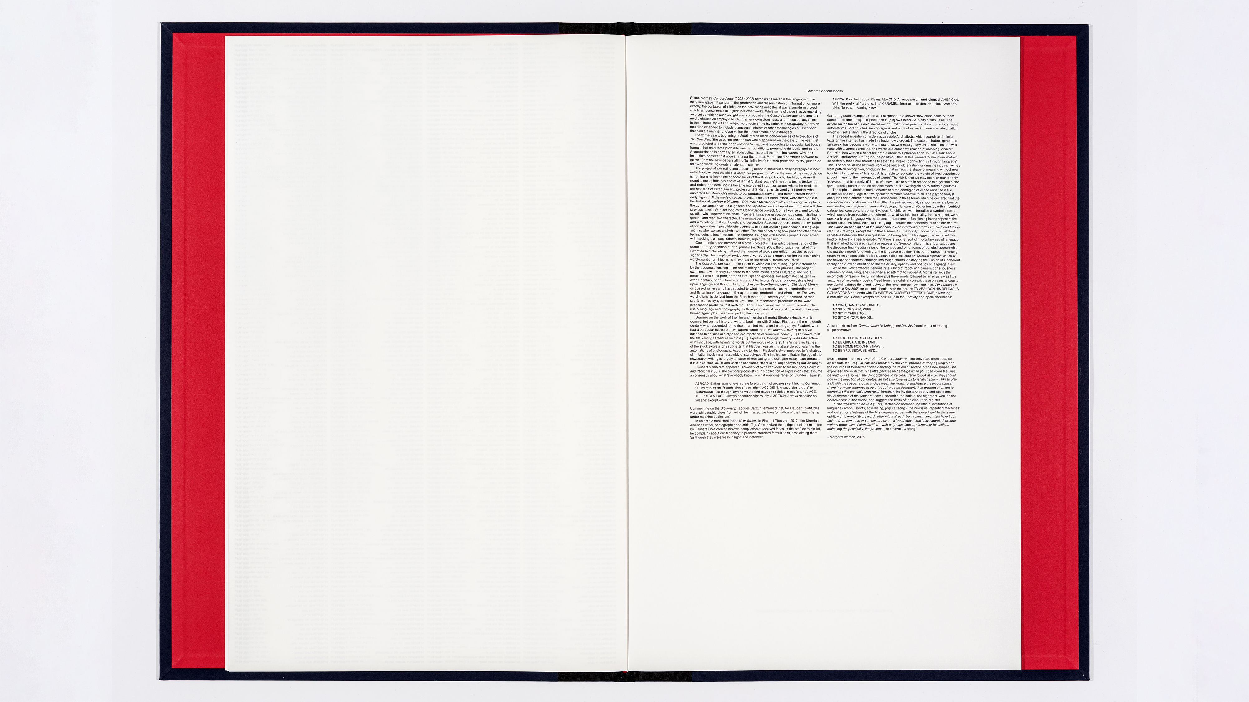 Installation view, Susan Morris: Concordance