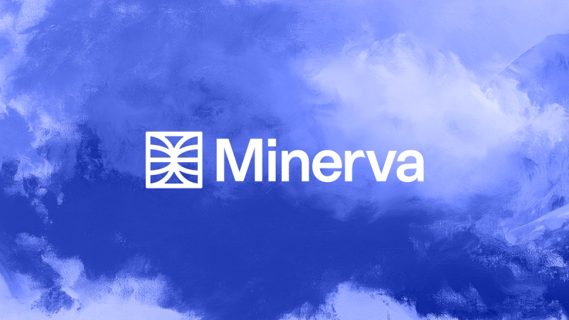 Introducing Minerva: 
AI for Consumer Marketing