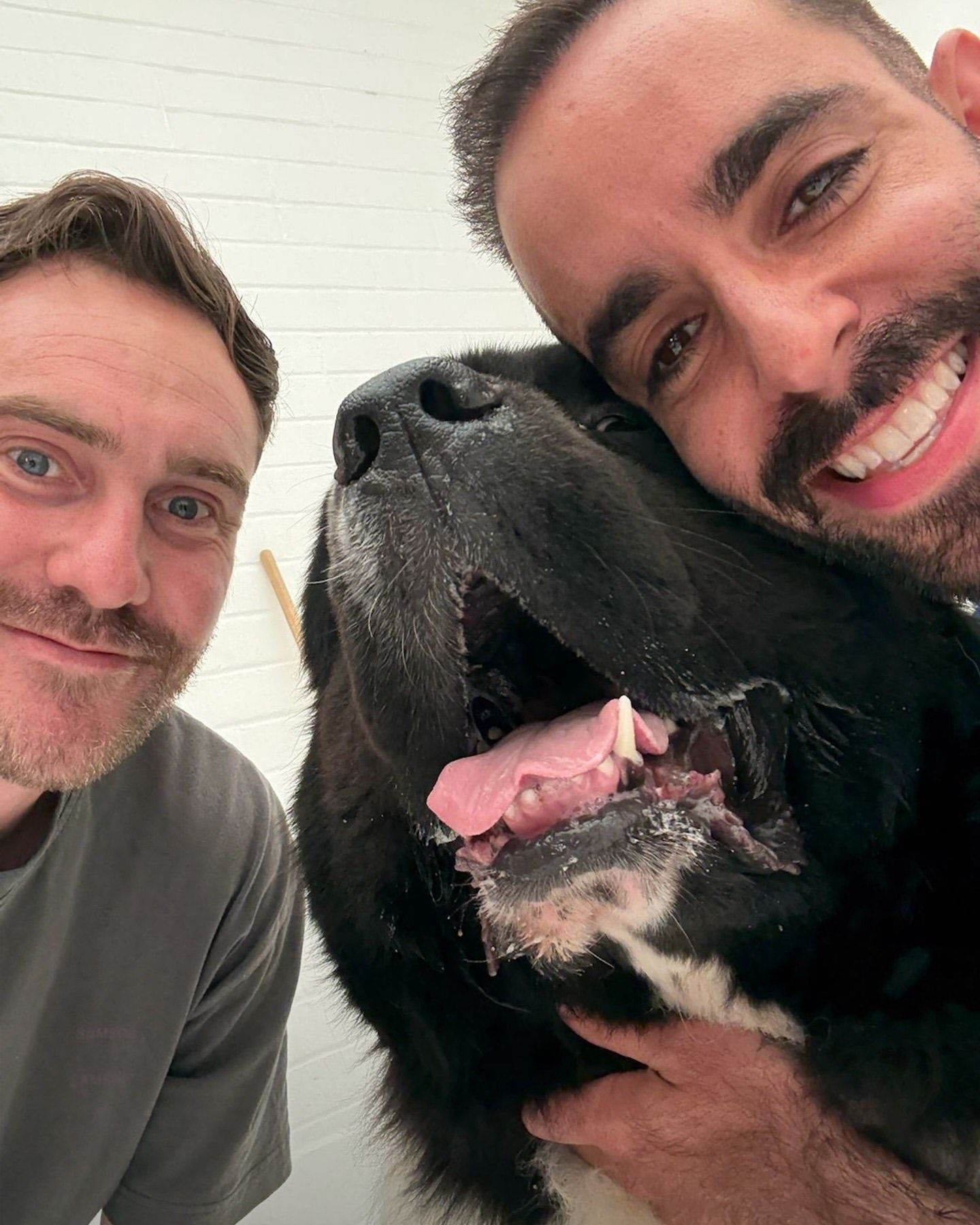 Behind-the-scenes shot of two men and a dog from the Omni brand, close-up of their heads with the dog’s big tongue out, all looking happy.