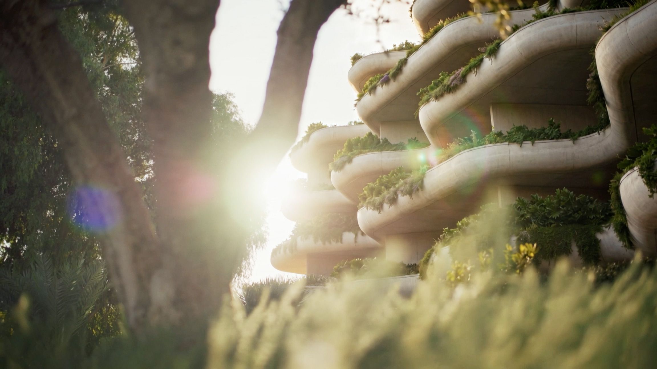 Sunlight through trees beside the curved, planted balconies of Land of Tomorrow