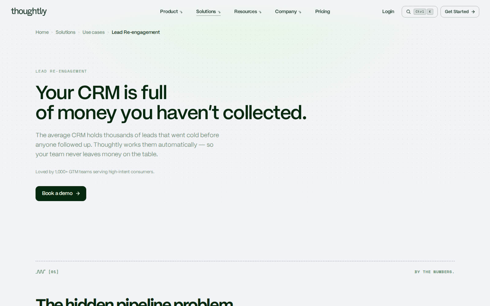 Screenshot of Thoughtly lead re-engagement solution page