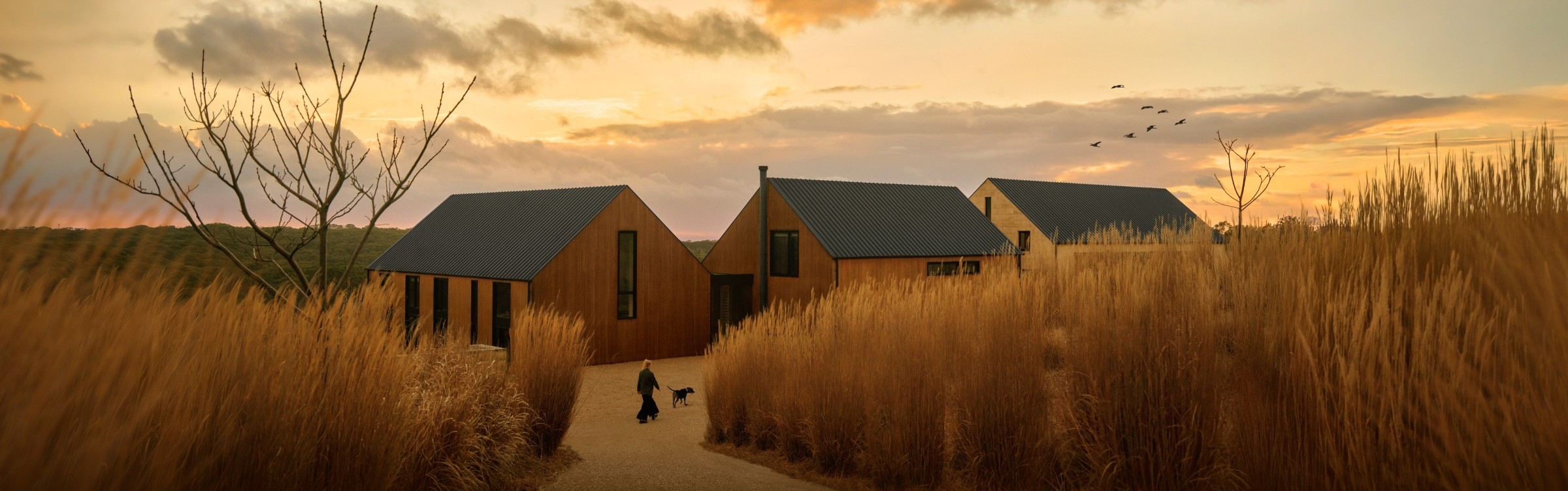 Flinders Residence at dusk — COLORBOND steel campaign