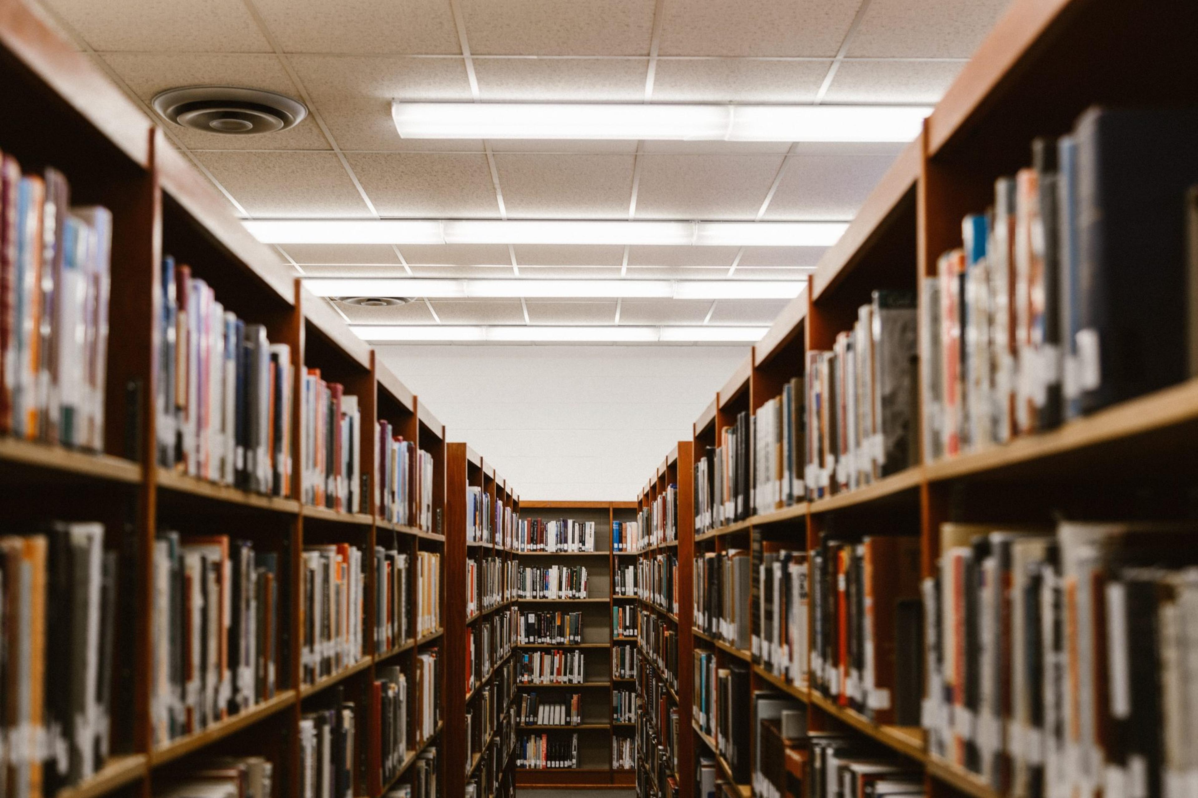 What Every Writer Needs on Her Shelf