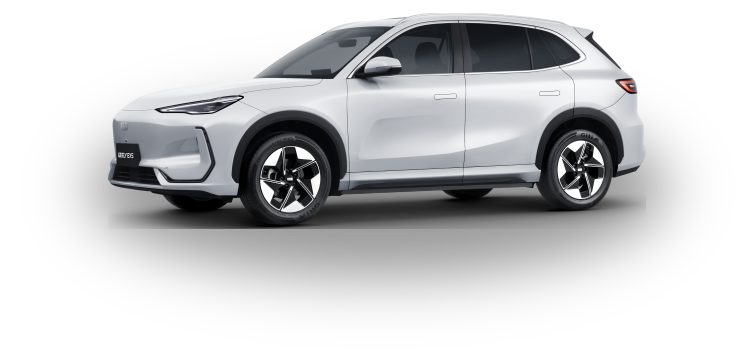 EX5 — Branco Storm