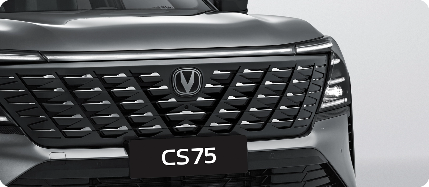 Smart Front Grille