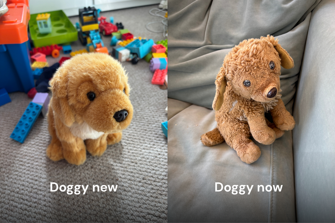 Doggy before and after