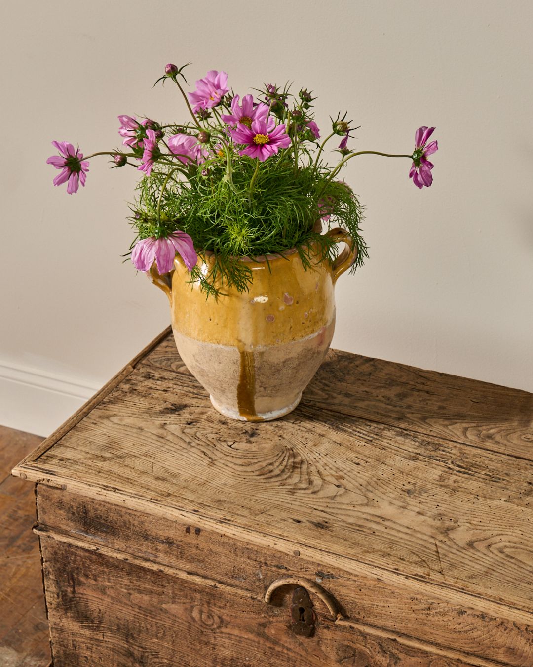 19th c. Oak Trunk
