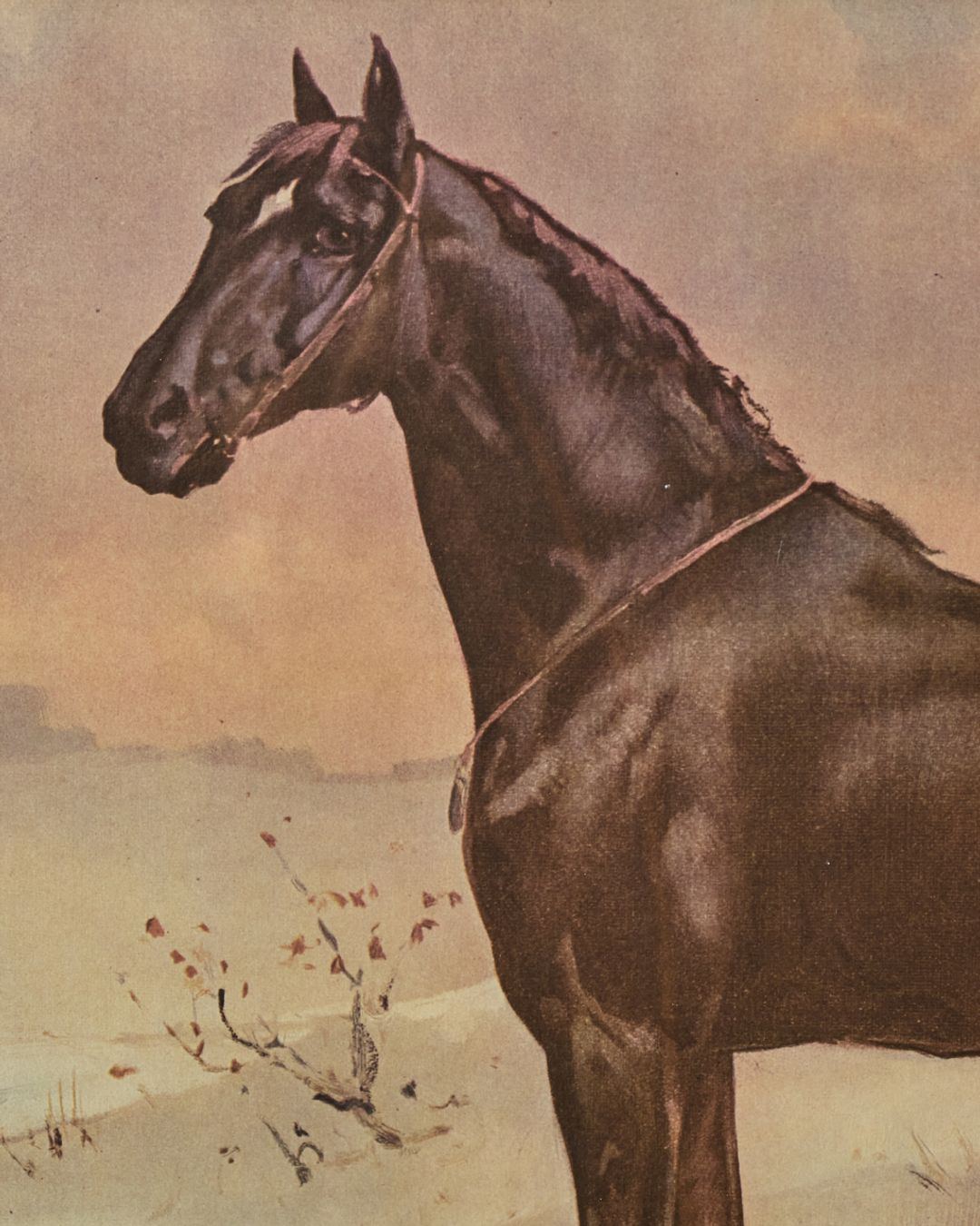 Le Cheval Artwork