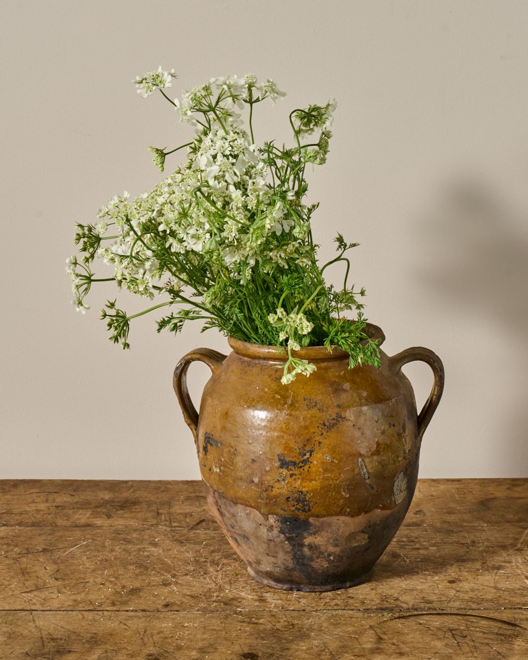 Brown Yellow Confit Pot