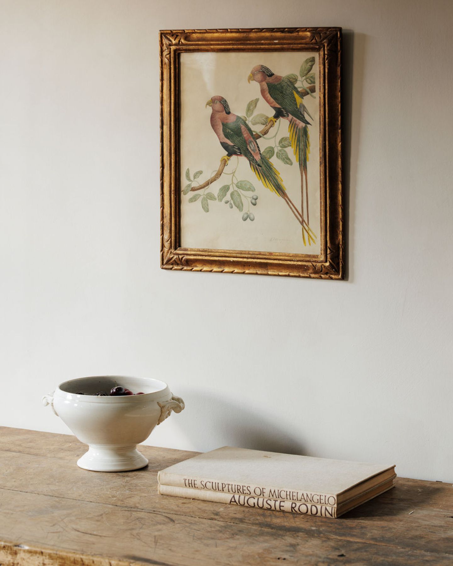 Bird Framed Print - III