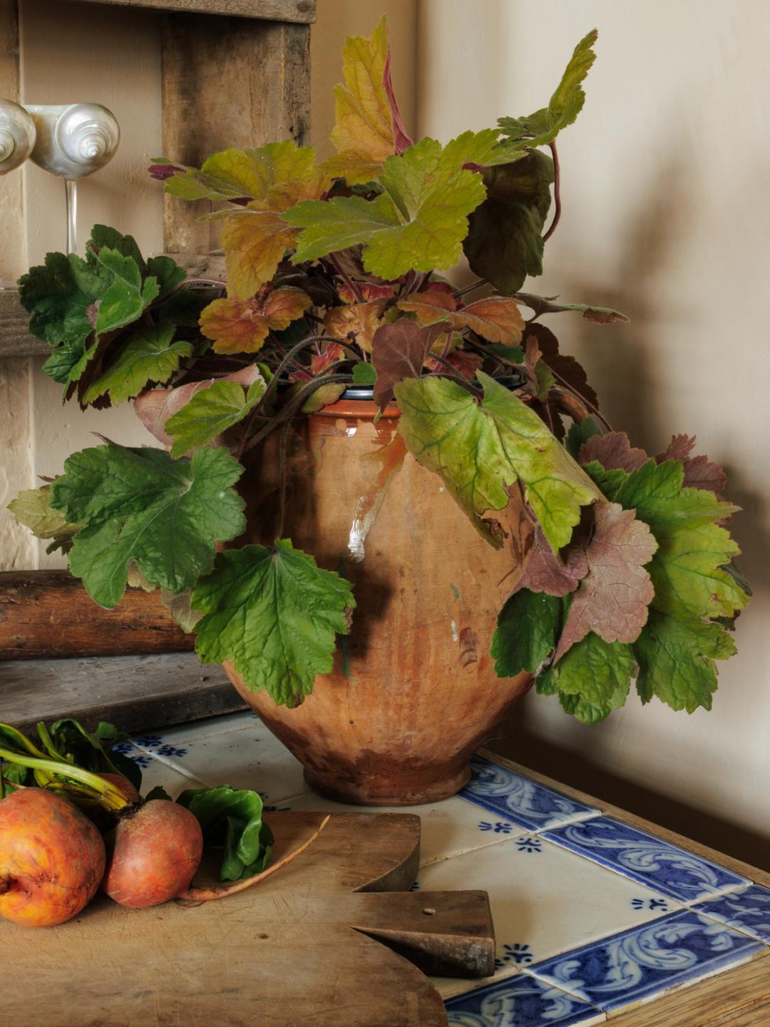 Round French Terracotta Pot