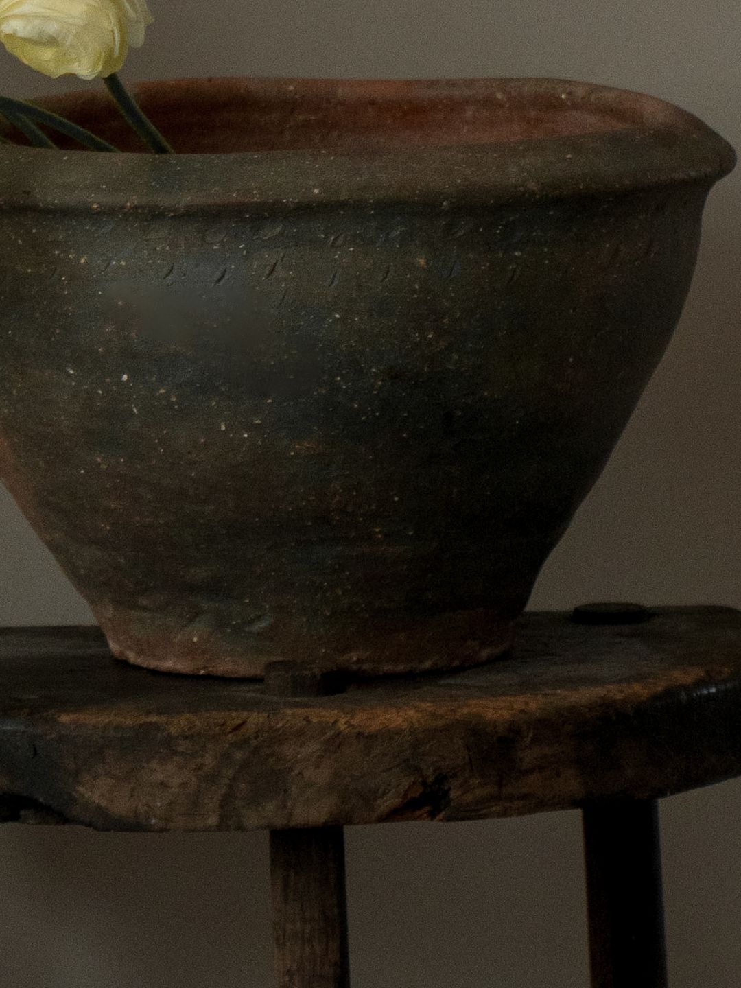 Black Cosi Pot