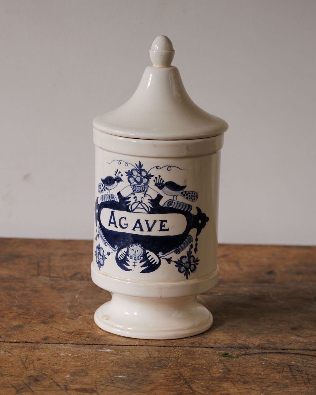 Italian Botanist Pot