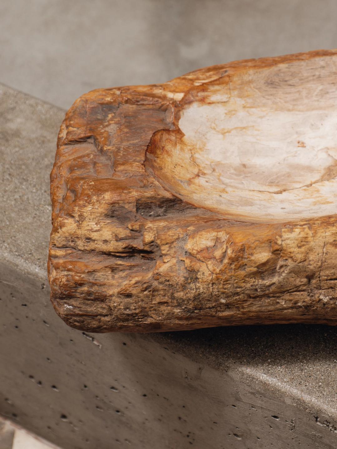 Petrified Wood Bowl