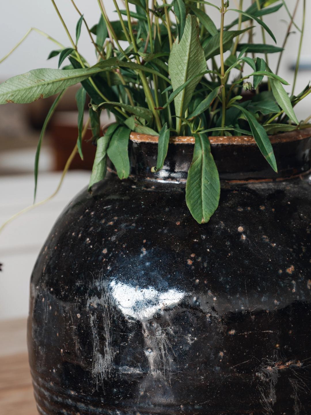 Black Glazed Water Pot