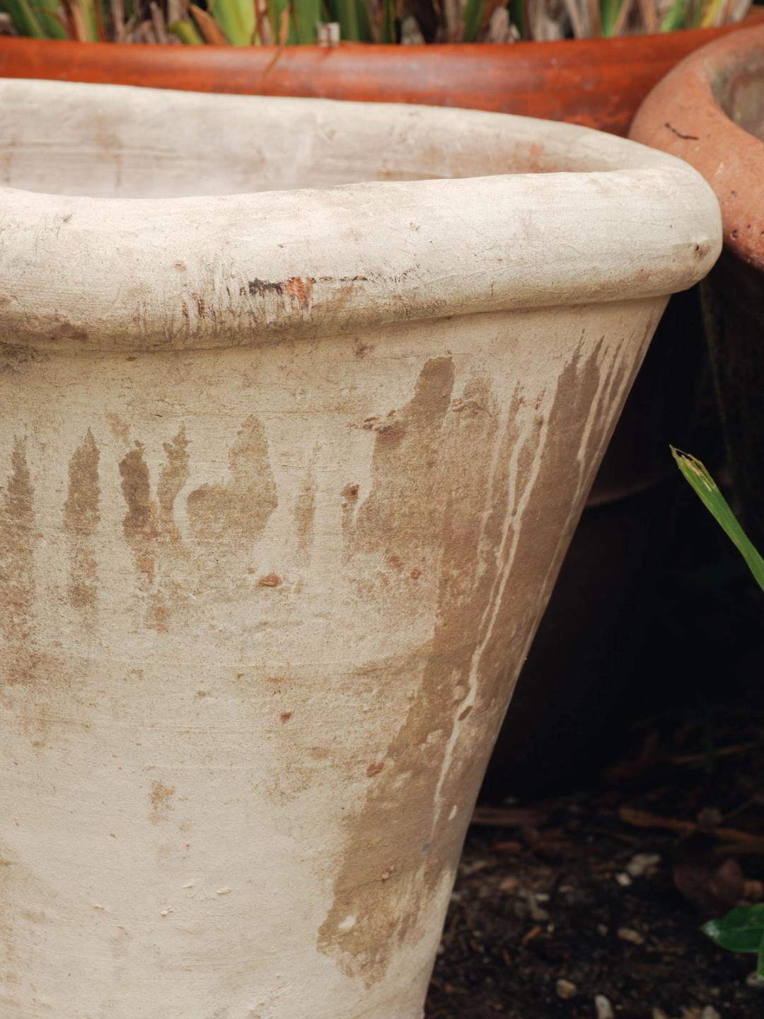 The Flower Pot