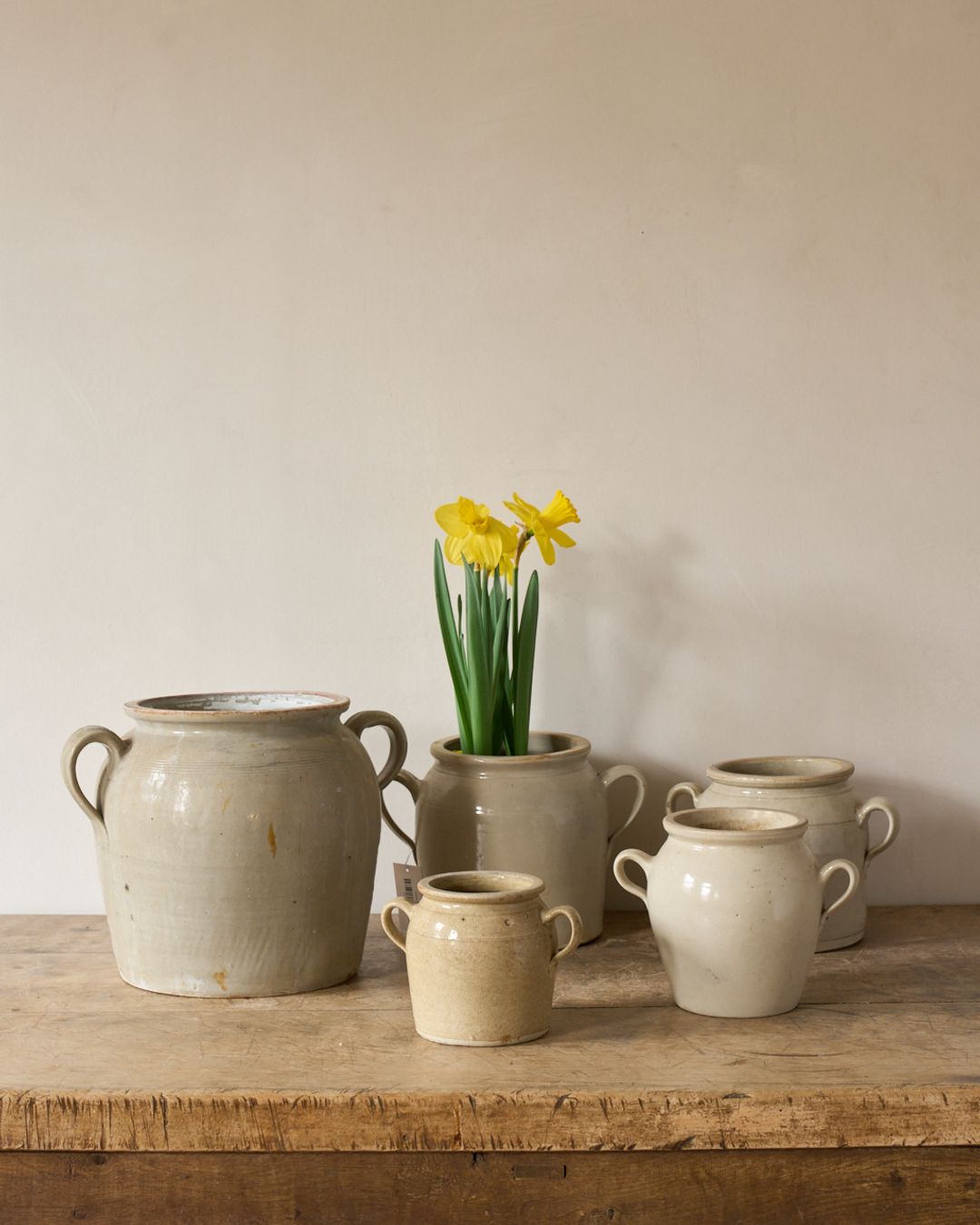 Creme Confit Pot