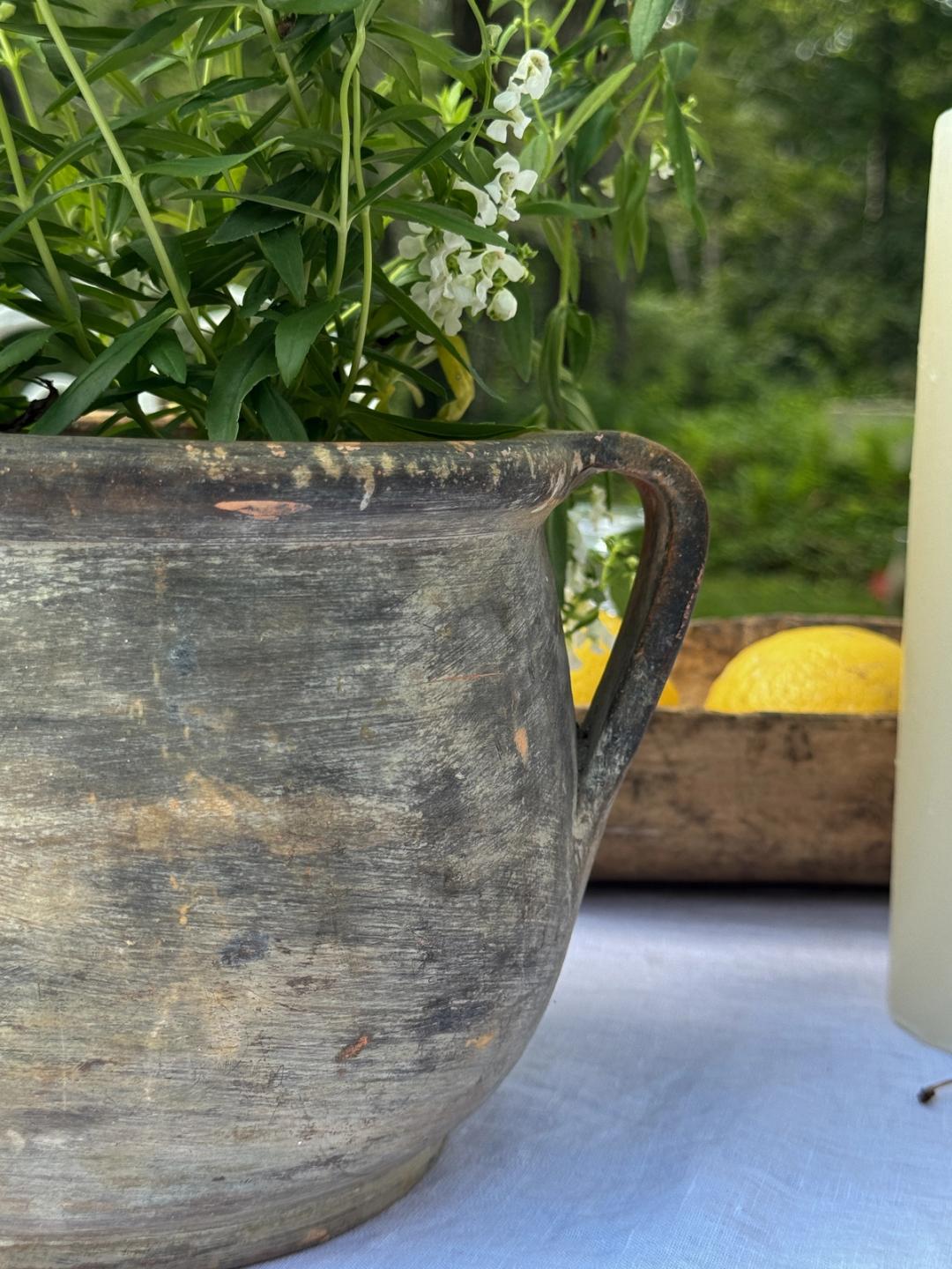 Hungarian Confit Pot
