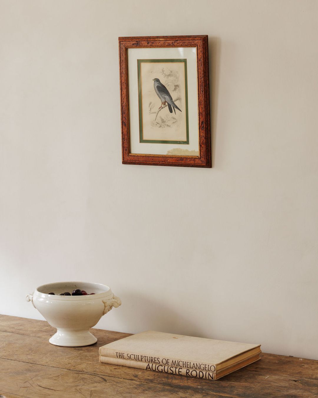 Bird Framed Print - II