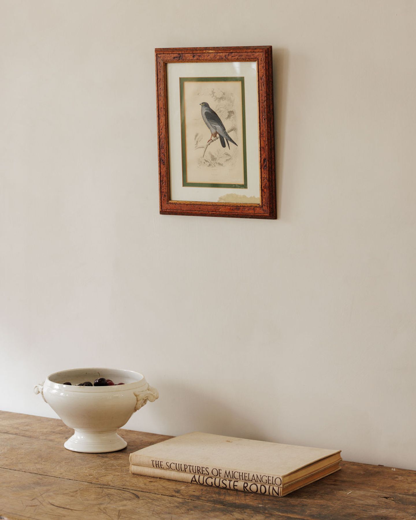 Bird Framed Print - II