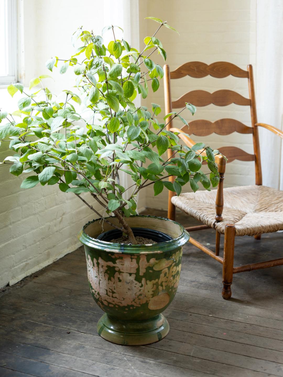 Green Glazed Planter