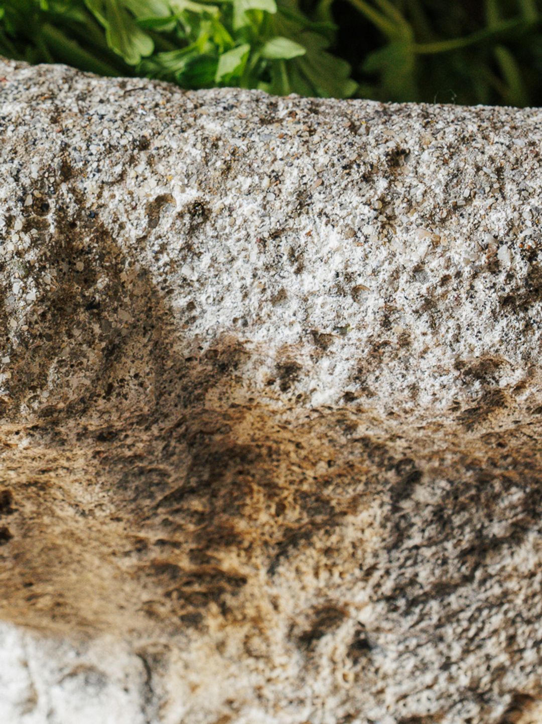 Ram Head Stone Planter