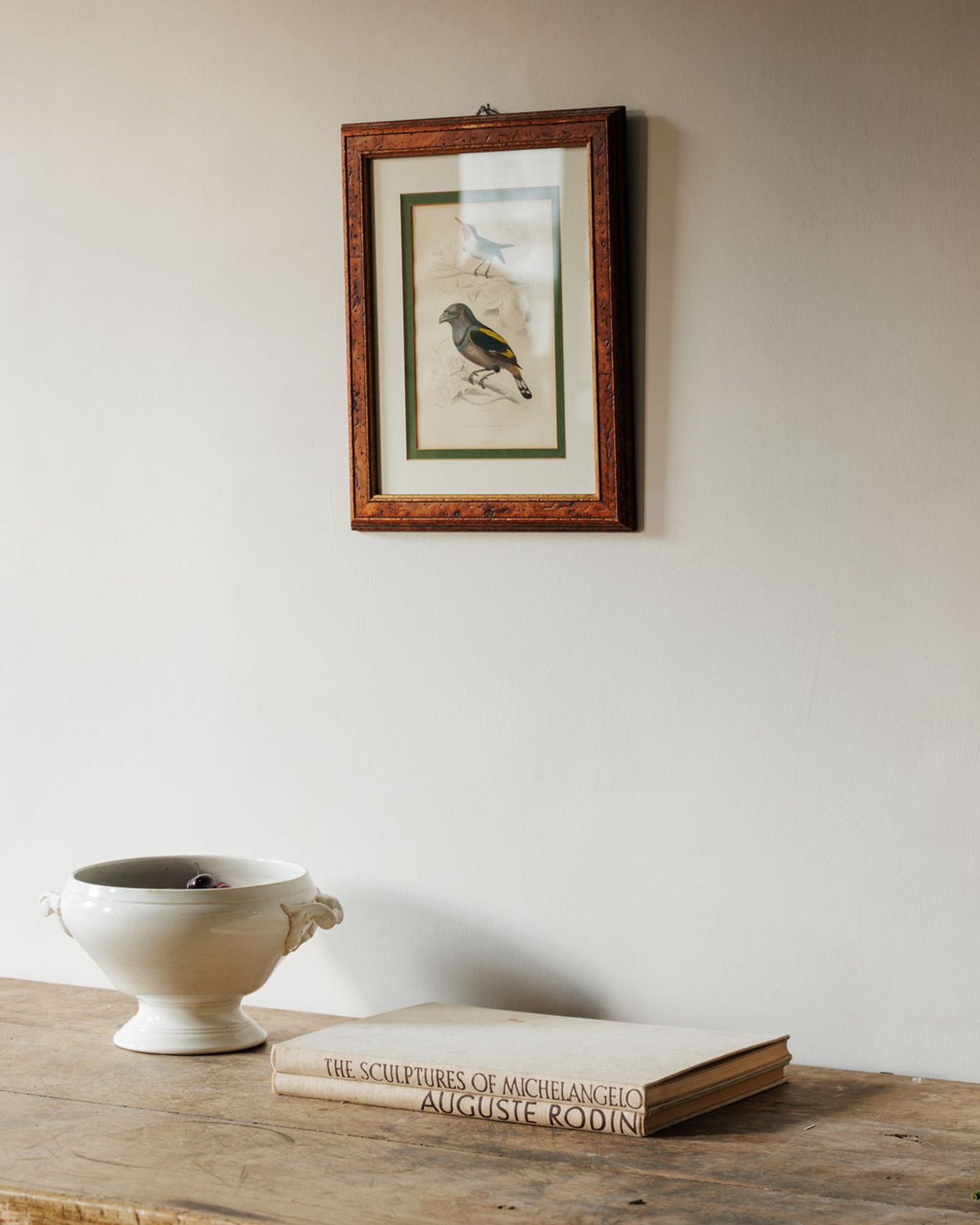 Bird Framed Print - II