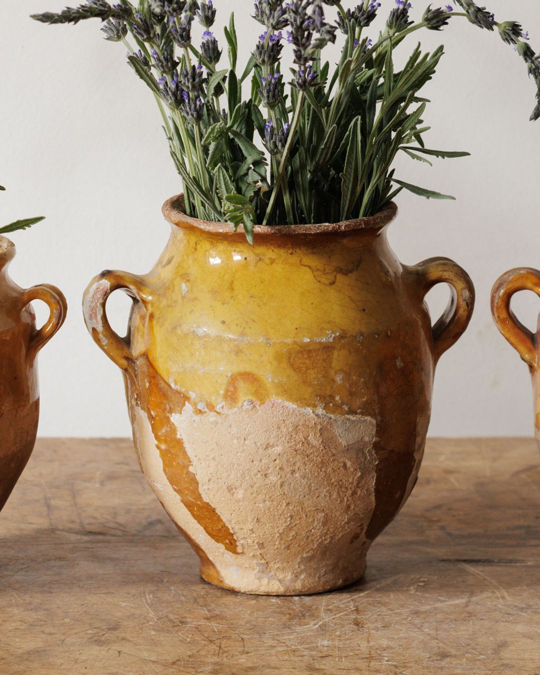Petit Confit Pots