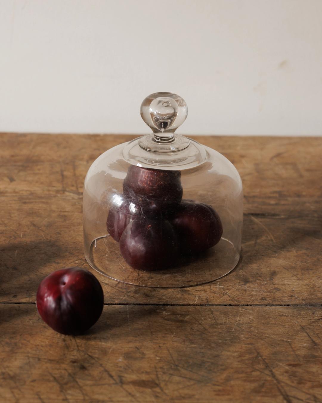 French Cloche - II