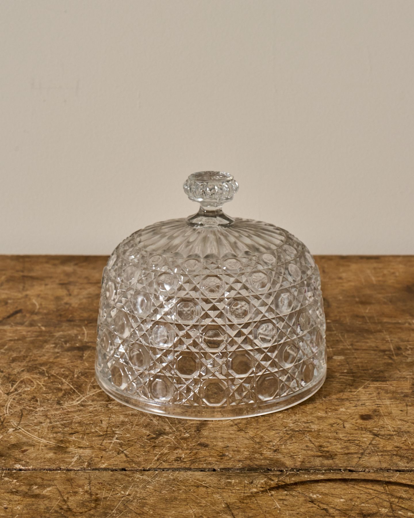 Vintage Glass Cloche - II