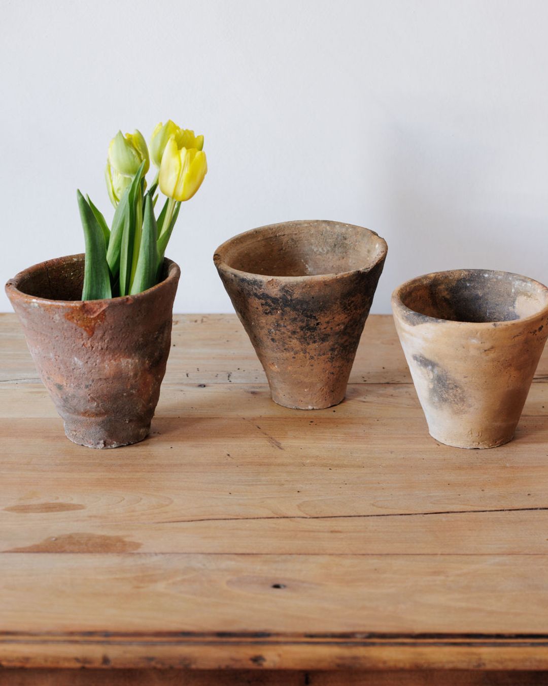 Terracotta Resin Pot