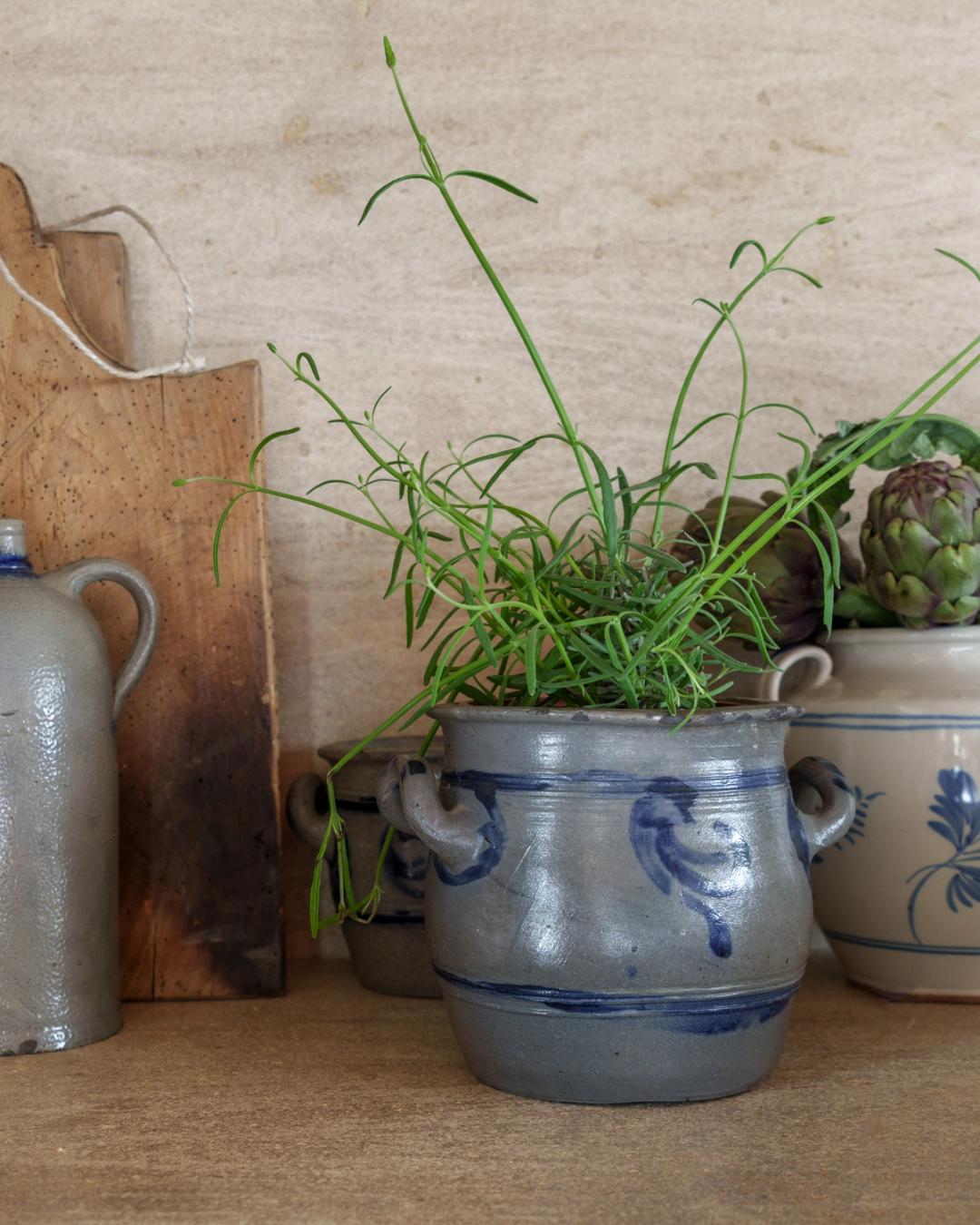 Handled Alsace Pot