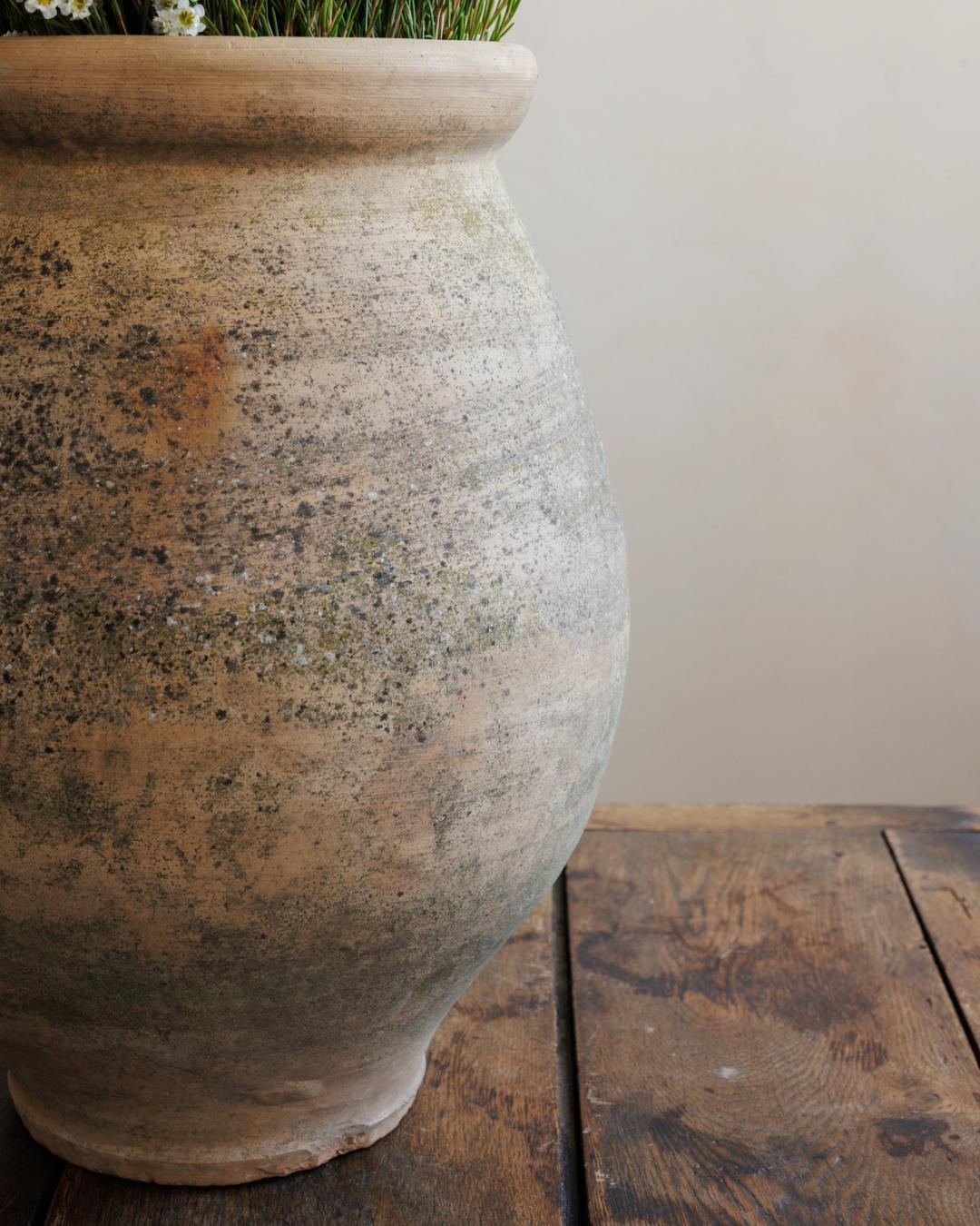 Terracotta Garden Pot