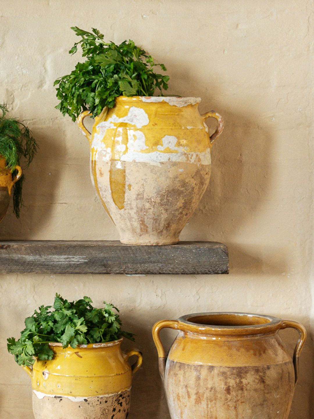 Yellow Confit Pot