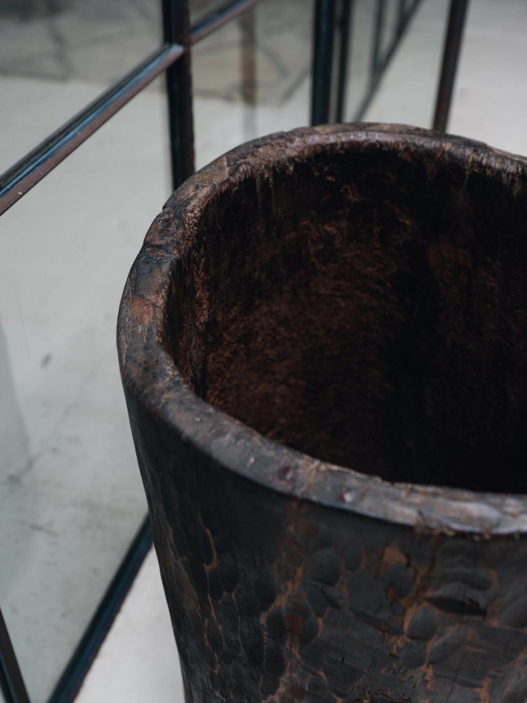 Naga Planter - 2