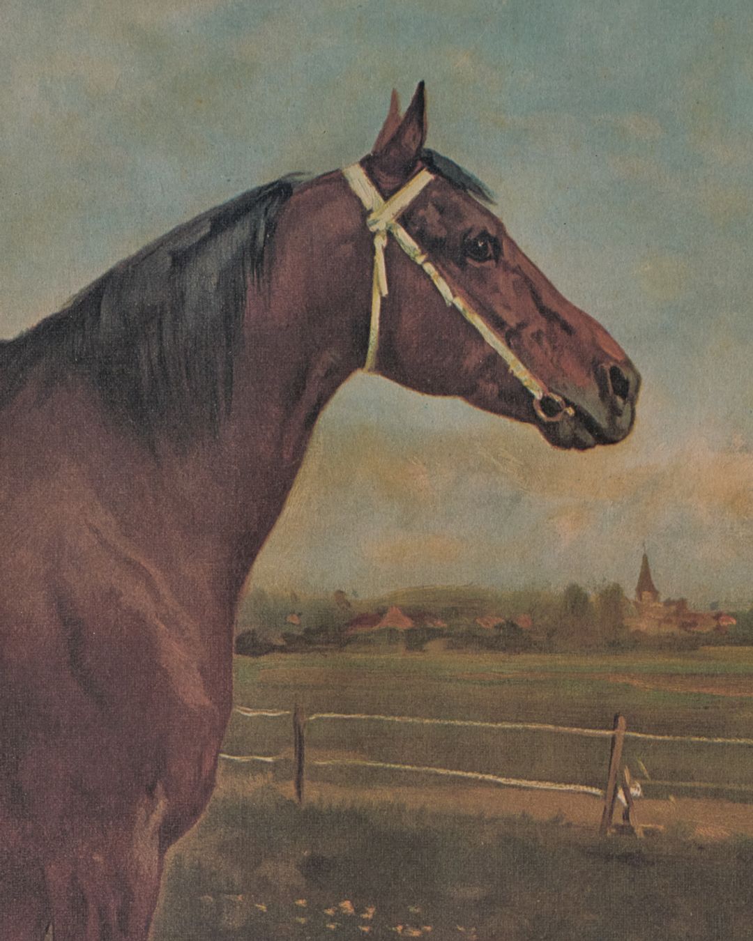 Le Cheval Artwork