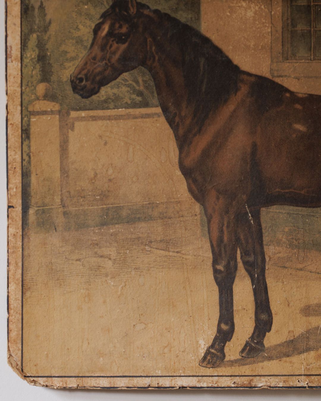 Le Cheval Artwork