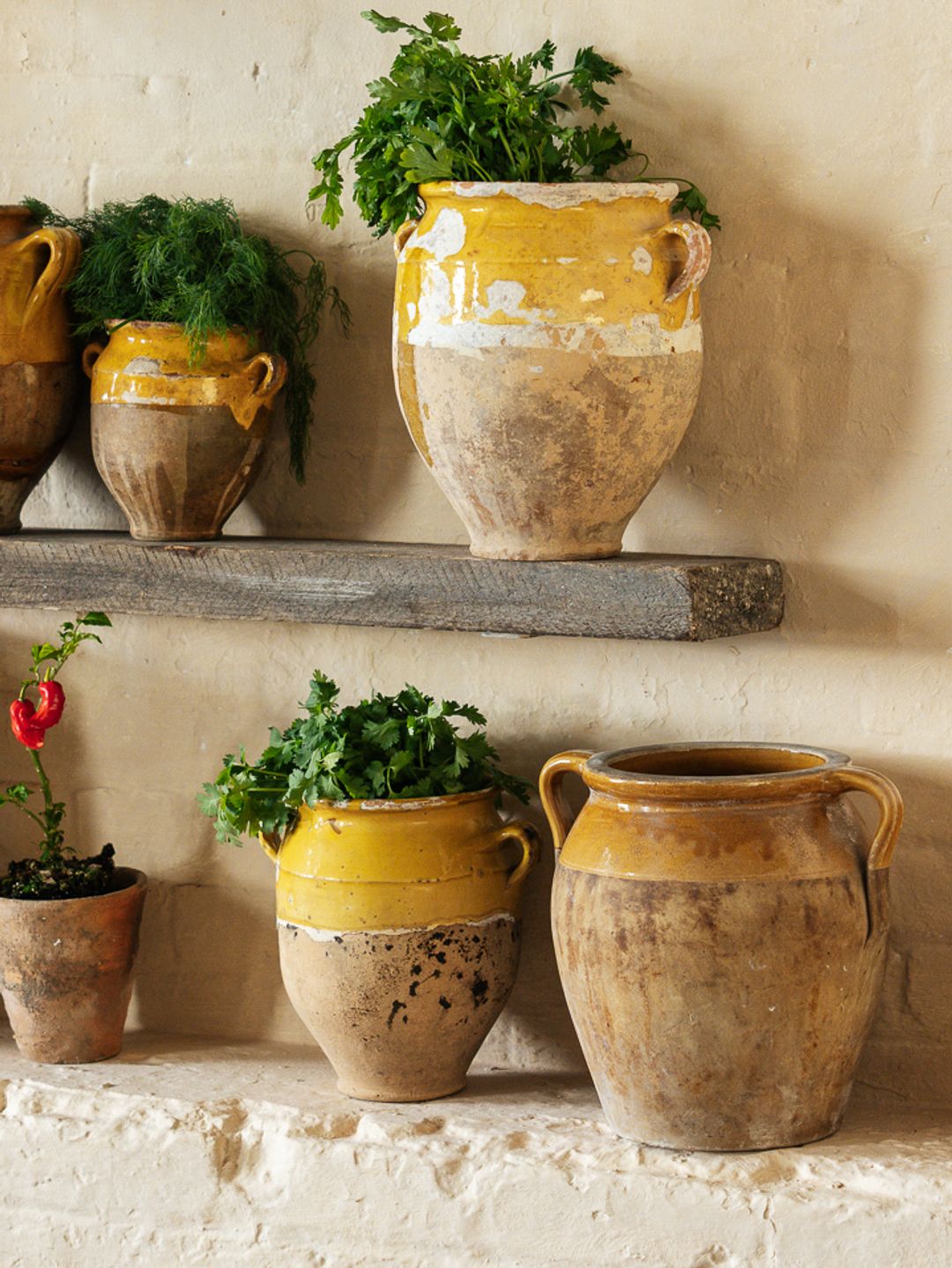 Yellow Confit Pot