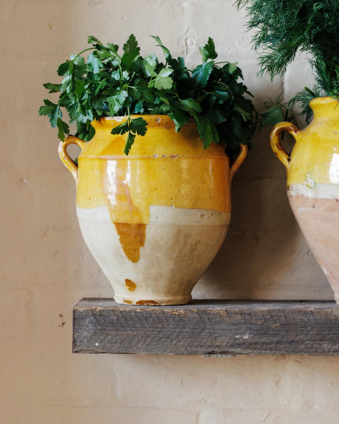 Yellow Confit Pot - Drip
