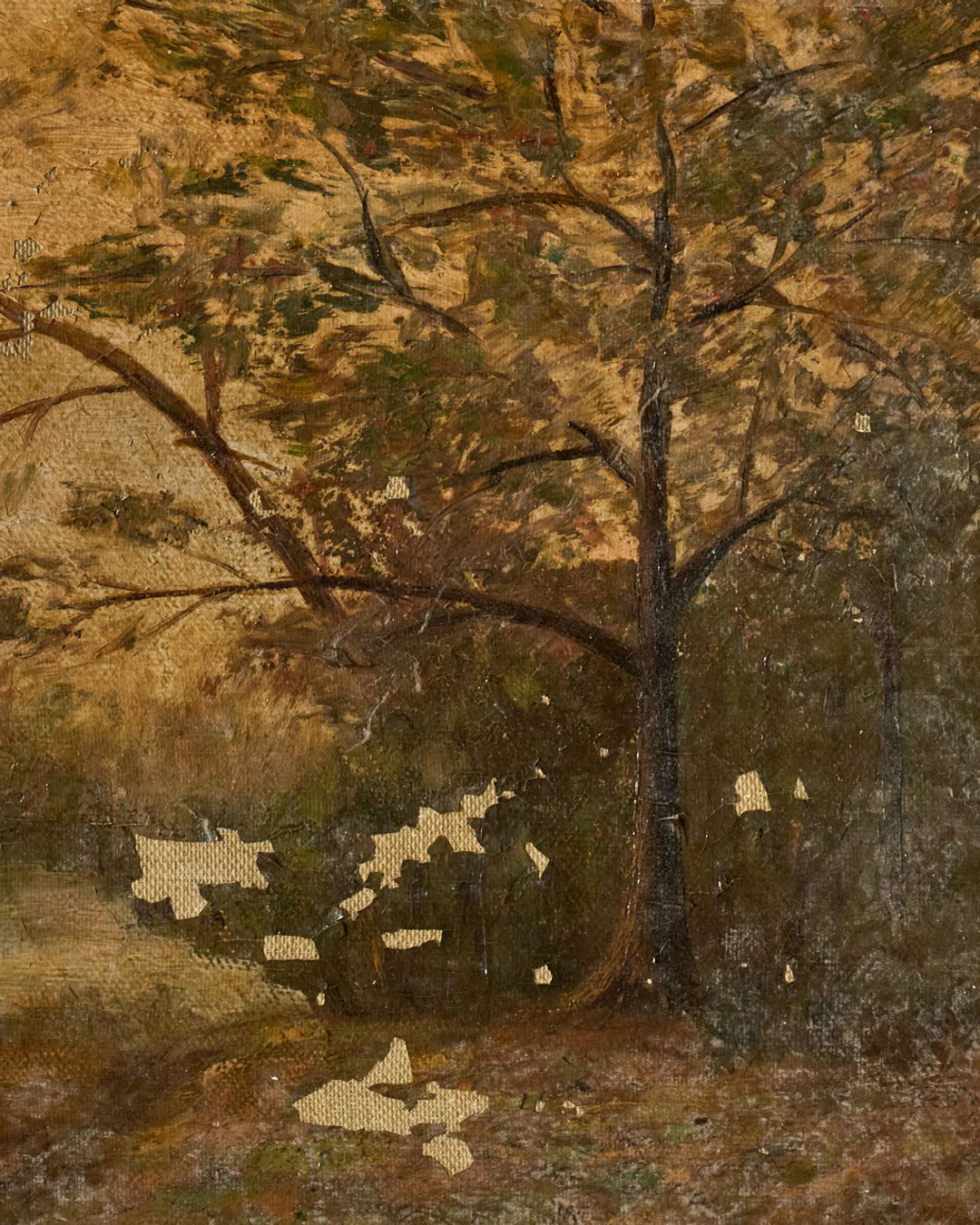 19th c. Forest Artwork
