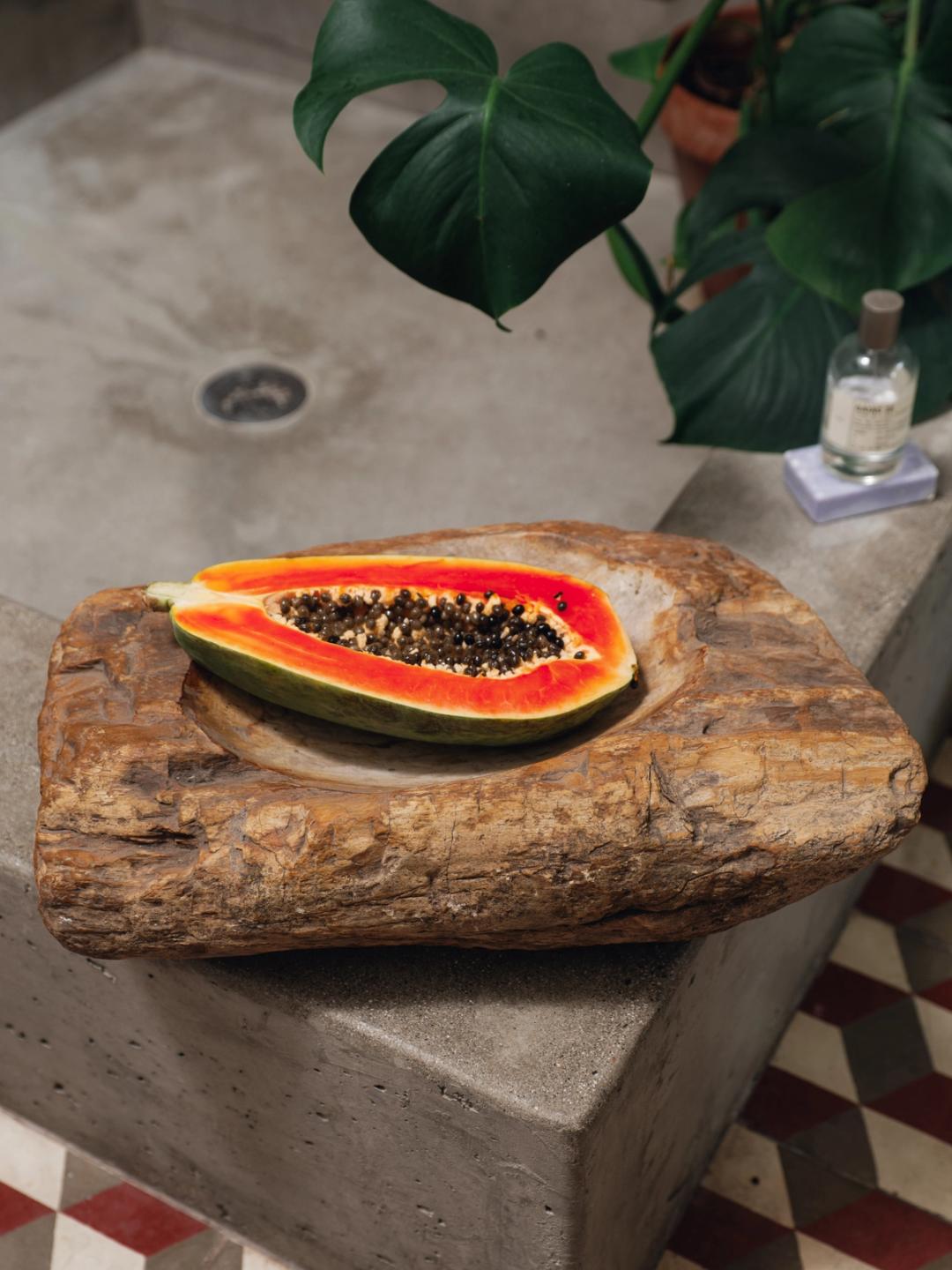 Petrified Wood Bowl