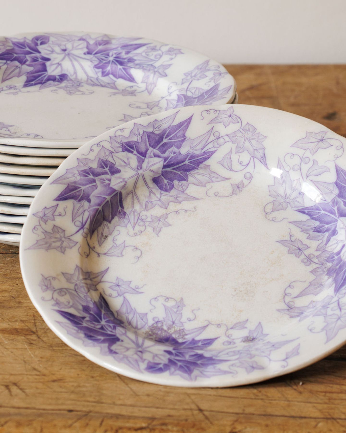 Bryonia Dinner Plate