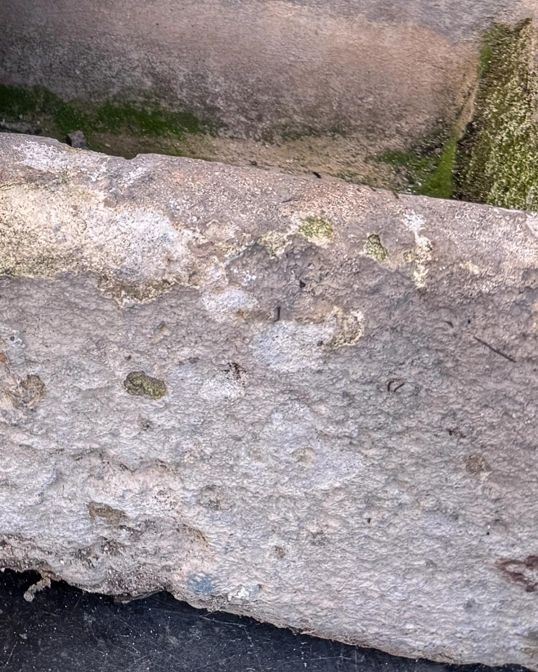 18th C. Provençal Stone Trough
