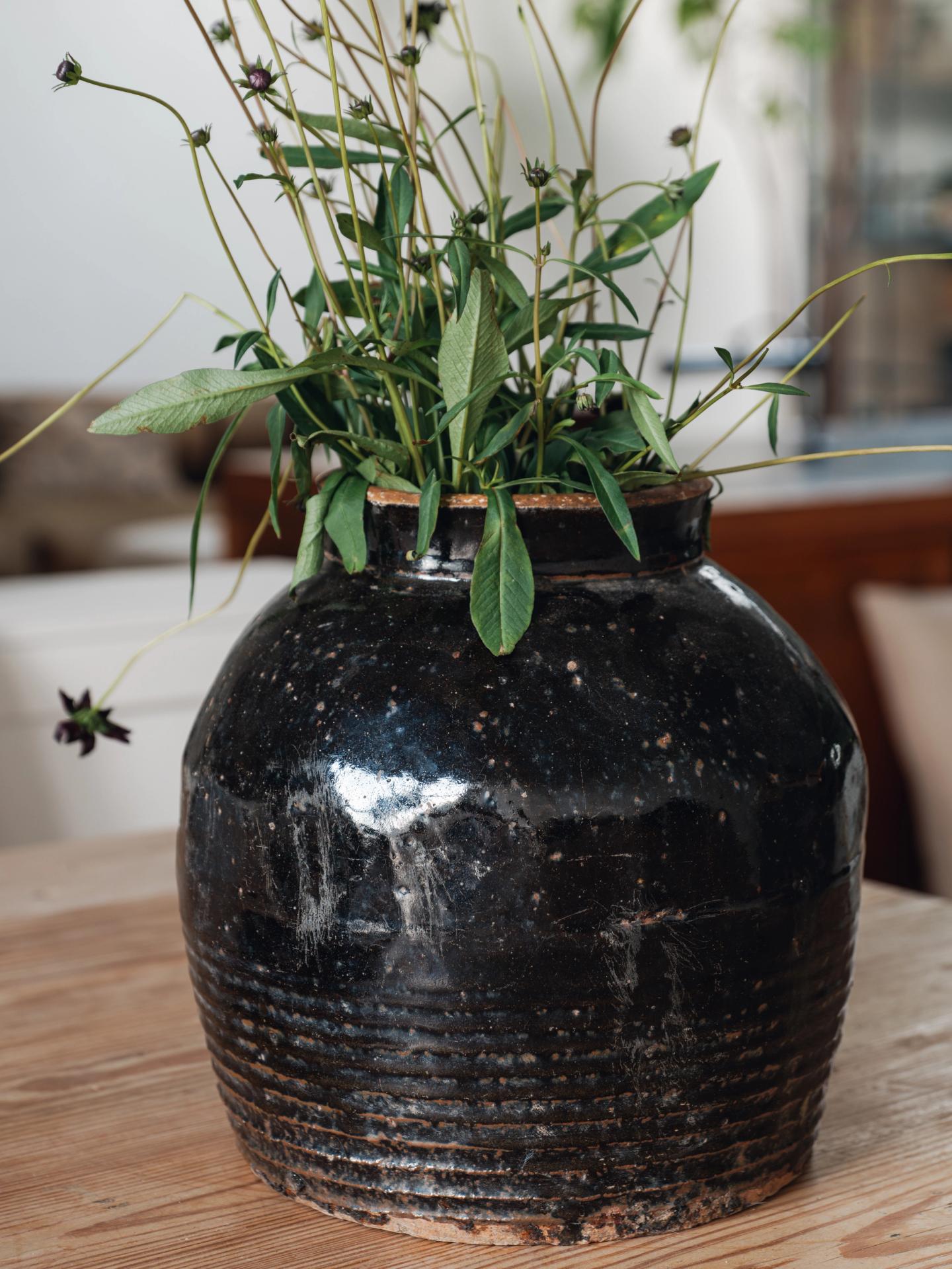 Black Glazed Water Pot